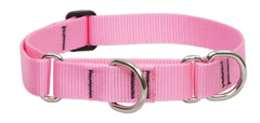 LupinePet Basics pink 1in martingale collar on a dog for secure walks