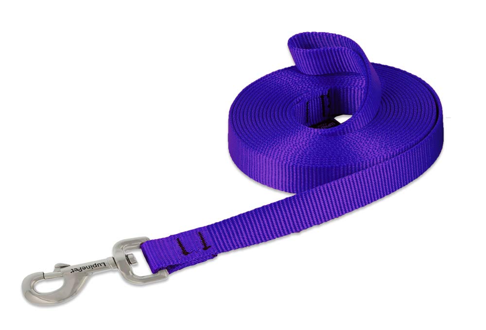 LupinePet Basics purple 15ft training lead for long-distance training and control