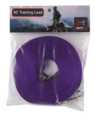 LupinePet Basics purple leash with self-loop handle for training and safe control.