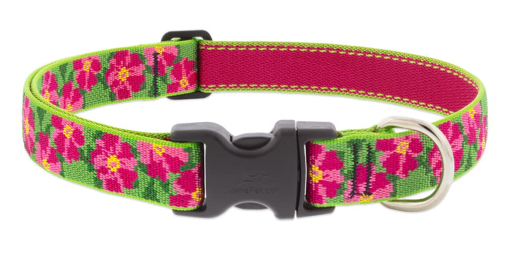 Collar LupinePet Petunias ajustable para paseos diarios y comodidad
