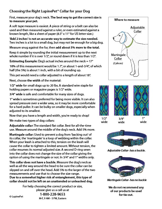 Collar LupinePet Petunias visto de lado, ideal para aventuras al aire libre