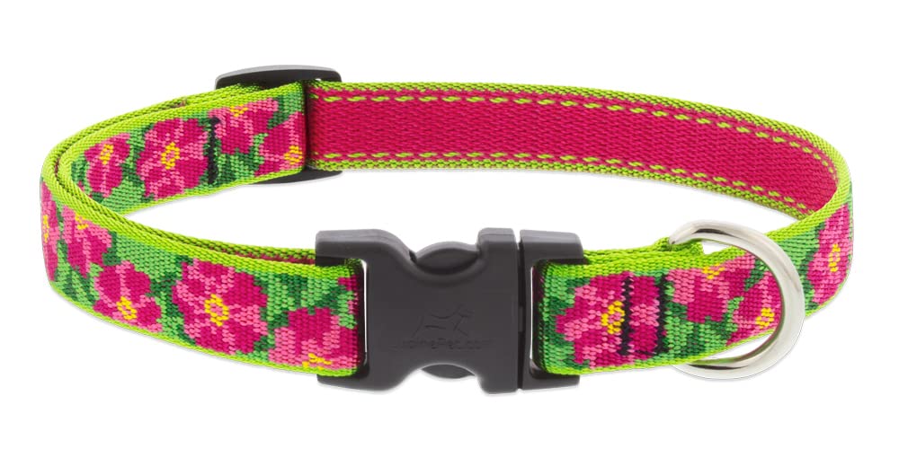 Collar LupinePet con diseño Petunias, resistente para paseos diarios