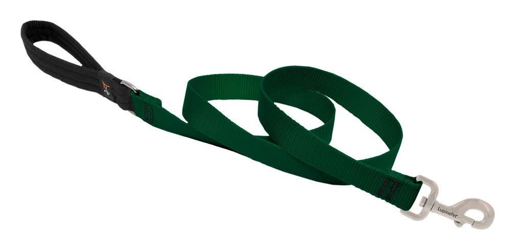 LupinePet leash green padded-handle 6ft for comfortable daily walks.