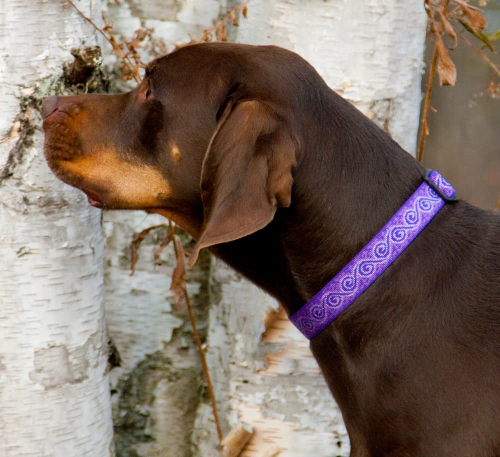 LupinePet Originals 1in Jelly Roll size range image shows flexible adjustability for medium and large dogs.