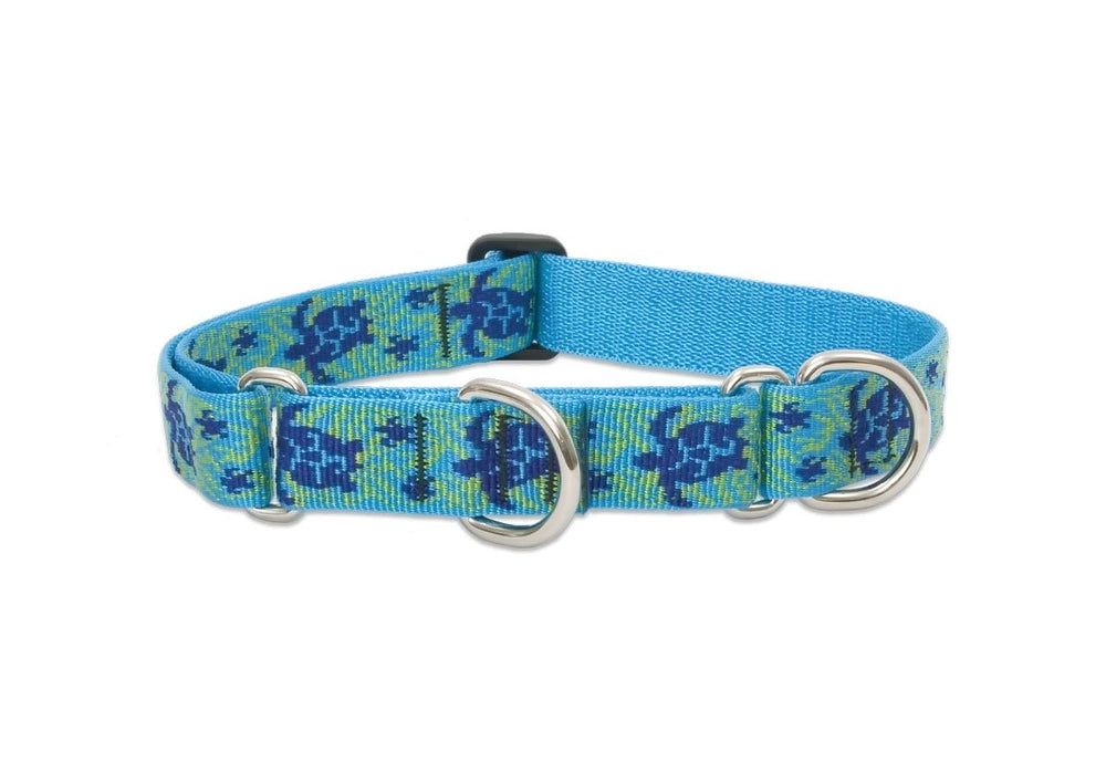 LupinePet Originals 1-inch Turtle Reef martingale collar for large dogs—durable for daily walks.