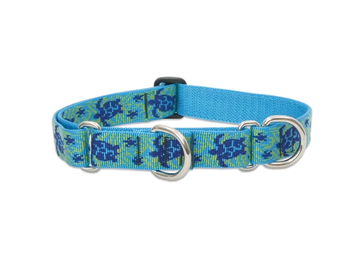 LupinePet Originals 1-inch Turtle Reef martingale collar for large dogs—durable for daily walks.