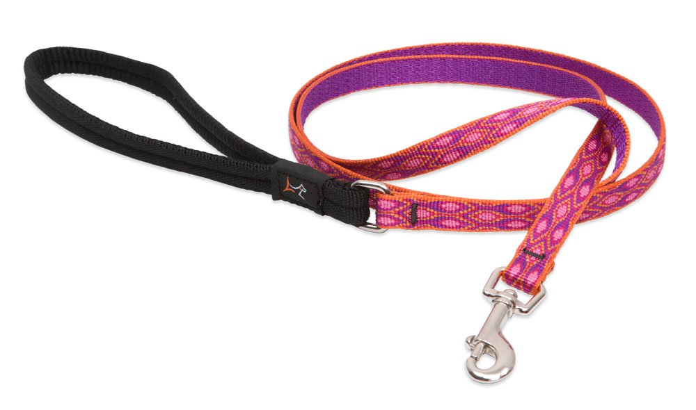 Correa LupinePet Originals Alpen Glow con mango acolchado para mayor comodidad durante paseos.