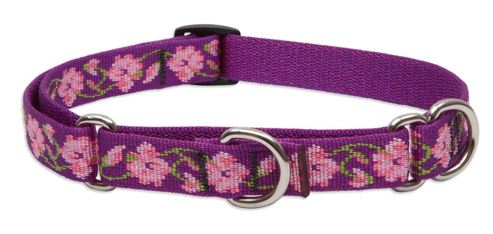 LupinePet Originals Collar Martingale Jardín de Rosas para perros pequeños, control suave durante paseos