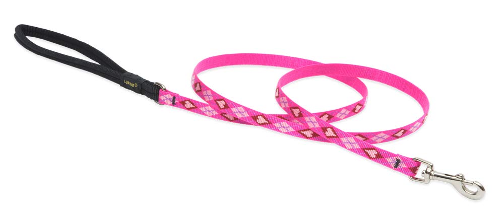 LupinePet Originals con asa acolchada Amor de Cachorro, ideal para salidas cortas y cómodas