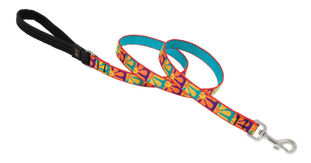 LupinePet Crazy Daisy 6-foot leash with padded handle offers comfortable daily walks