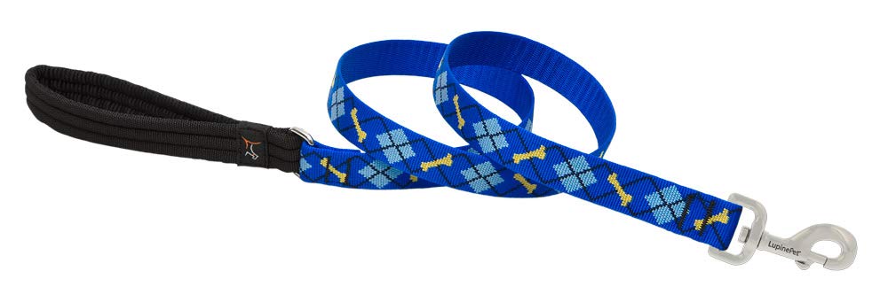 LupinePet Originals padded-handle leash shows comfortable grip for daily walks