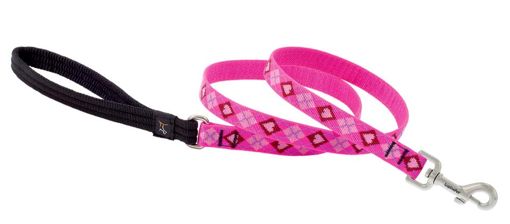 LupinePet Originals Puppy Love leash with padded handle for comfortable daily walks