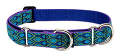 LupinePet Originals Rain Song collar overview with durable 1-inch webbing for daily walks.