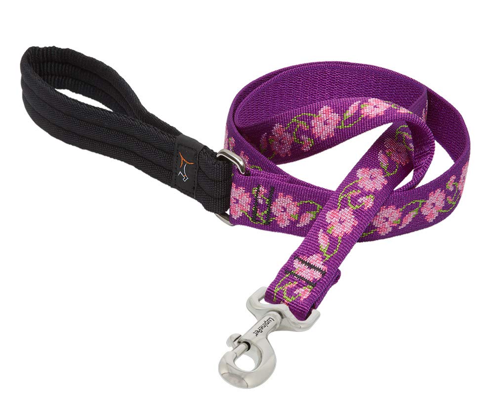 LupinePet Originals Rose Garden 6ft leash with padded handle for comfortable daily walks