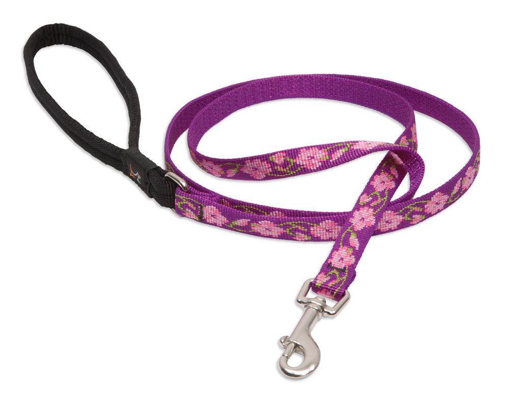 LupinePet Originals Rose Garden 6ft leash showcases durable jacquard nylon for daily walks.