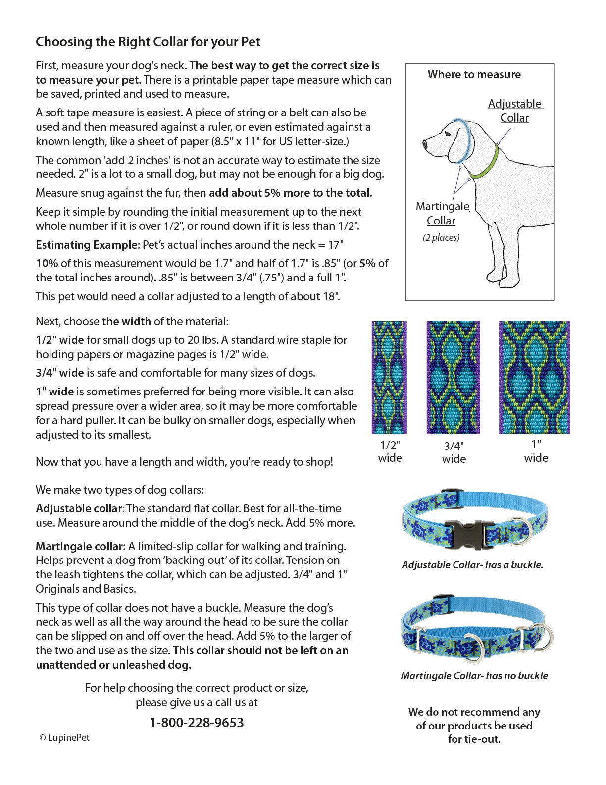 LupinePet Originals Turtle Reef collar worn on dog for comfortable everyday use