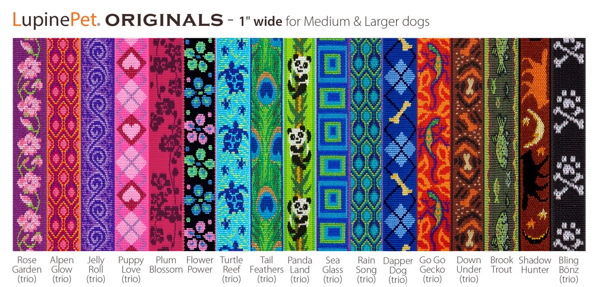 LupinePet Rain Song collar on a dog showing adjustable fit for medium to large breeds
