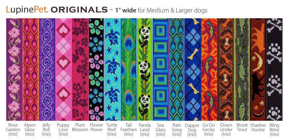 LupinePet Rain Song collar on a dog showing adjustable fit for medium to large breeds