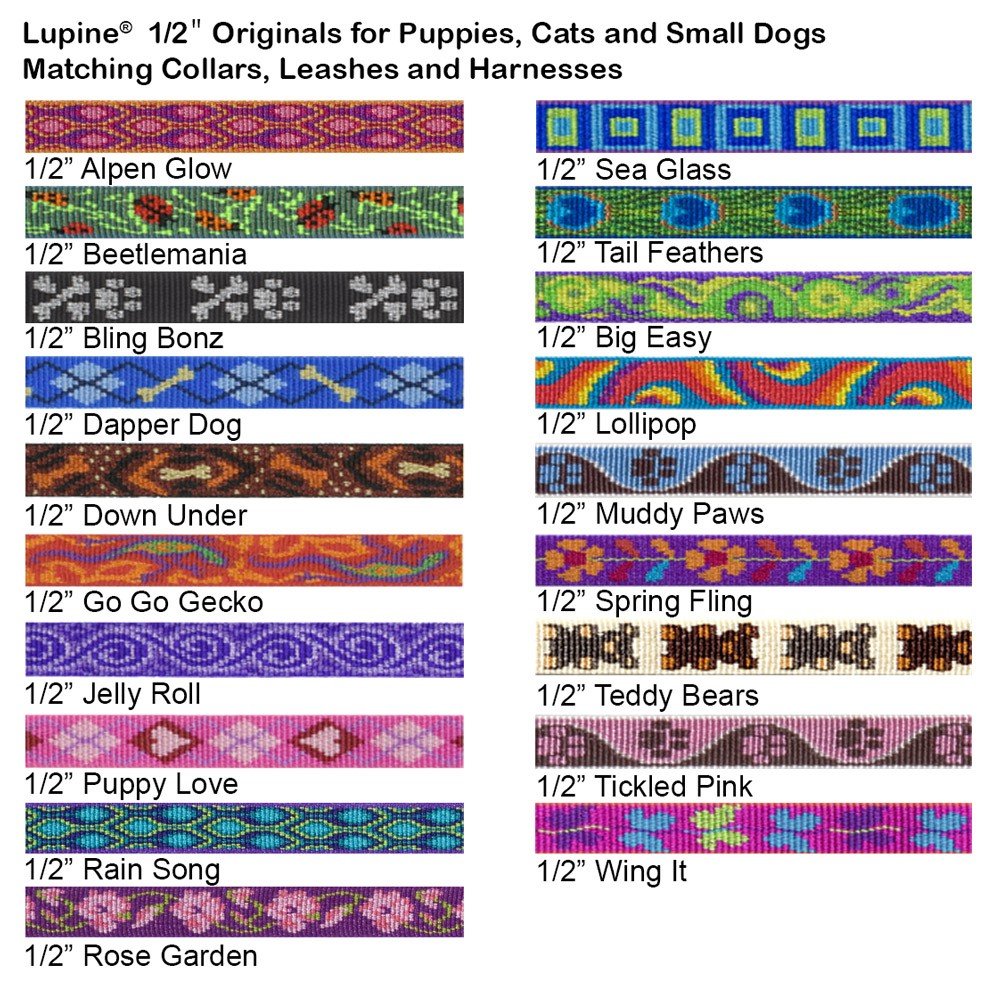 LupinePet Rain Song leash walking-small-pet depicts secure control during outings.