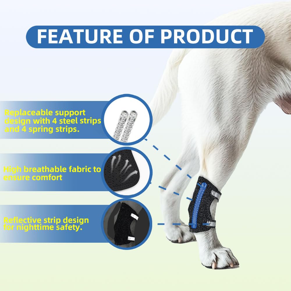 Lushnessu rear-leg brace strap assembly showing modular components for tailored fit