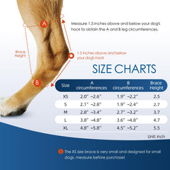 Lushnessu dog rear leg brace steel bars close up demonstrates durable joint protection