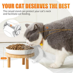 Lusifaco 5.9-inch ceramic dishes show whisker-friendly design for cats.