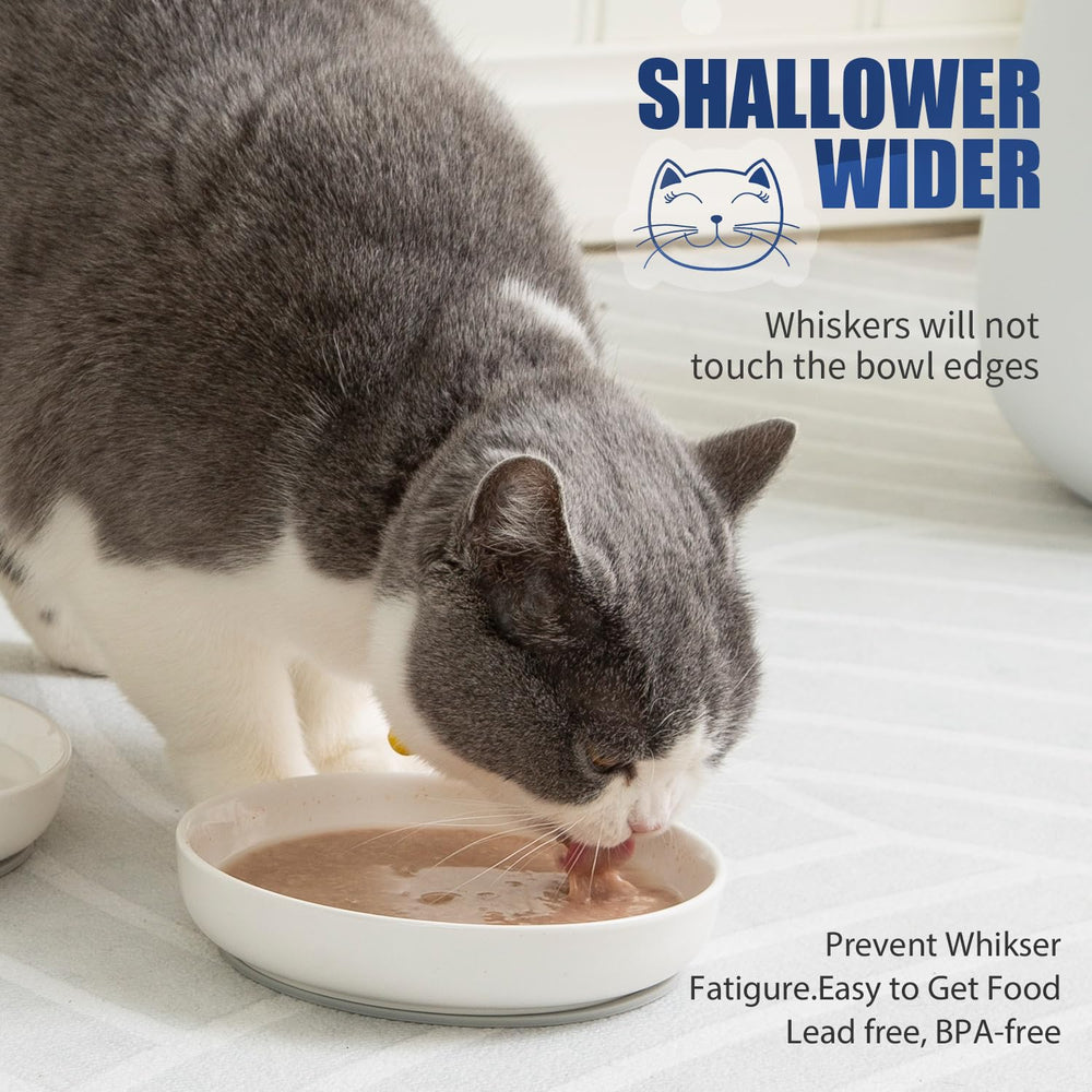 Lusifaco cat dishes with silicone mat provide non-slip stability.