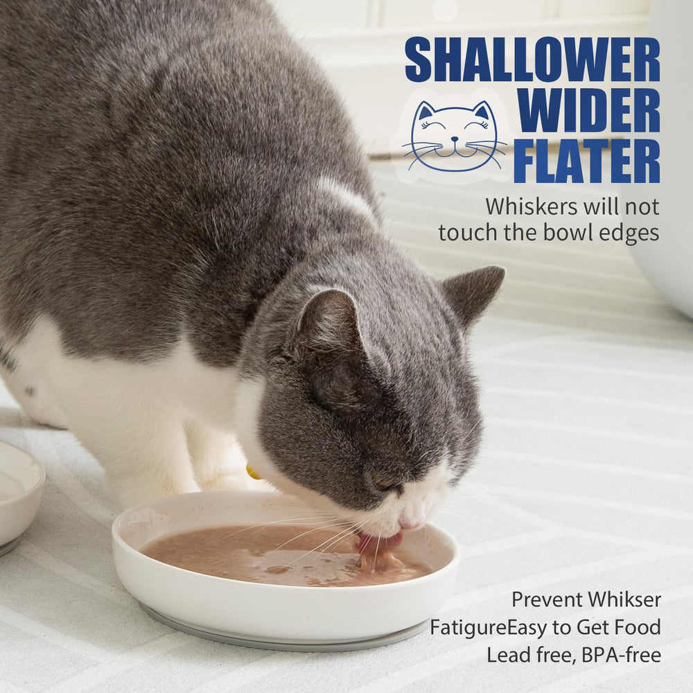 Lusifaco indoor-cat mealtime setup with anti-slip mats protects floors.