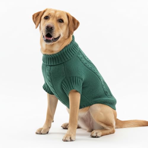 LUVMOJO dog sweater in teal green offers cozy warmth for winter photos and outings.
