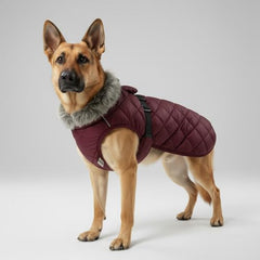 LUVMOJO water-resistant dog coat XXL shields against light rain and mud on outdoor adventures