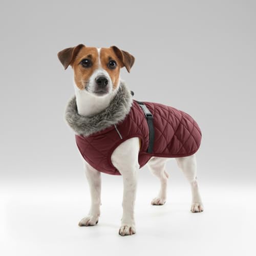 LUVMOJO winter jacket size M, buckle close-up, secure fit during active play