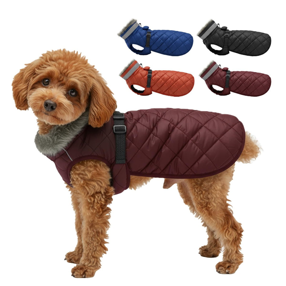 LUVMOJO winter jacket size M, front view, waterproof warmth for dogs
