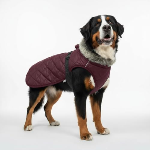 LUVMOJO XXXXL dog winter coat side view shows broad-chest fit and secure elastic strap.