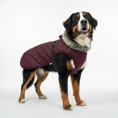 LUVMOJO XXXXL dog winter coat side view shows broad-chest fit and secure elastic strap.