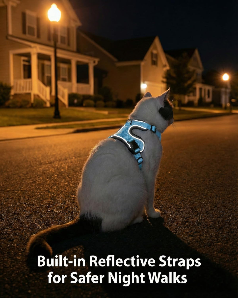 Luxelle adjustable XS to M sizing ensures a tailored cat harness fit.