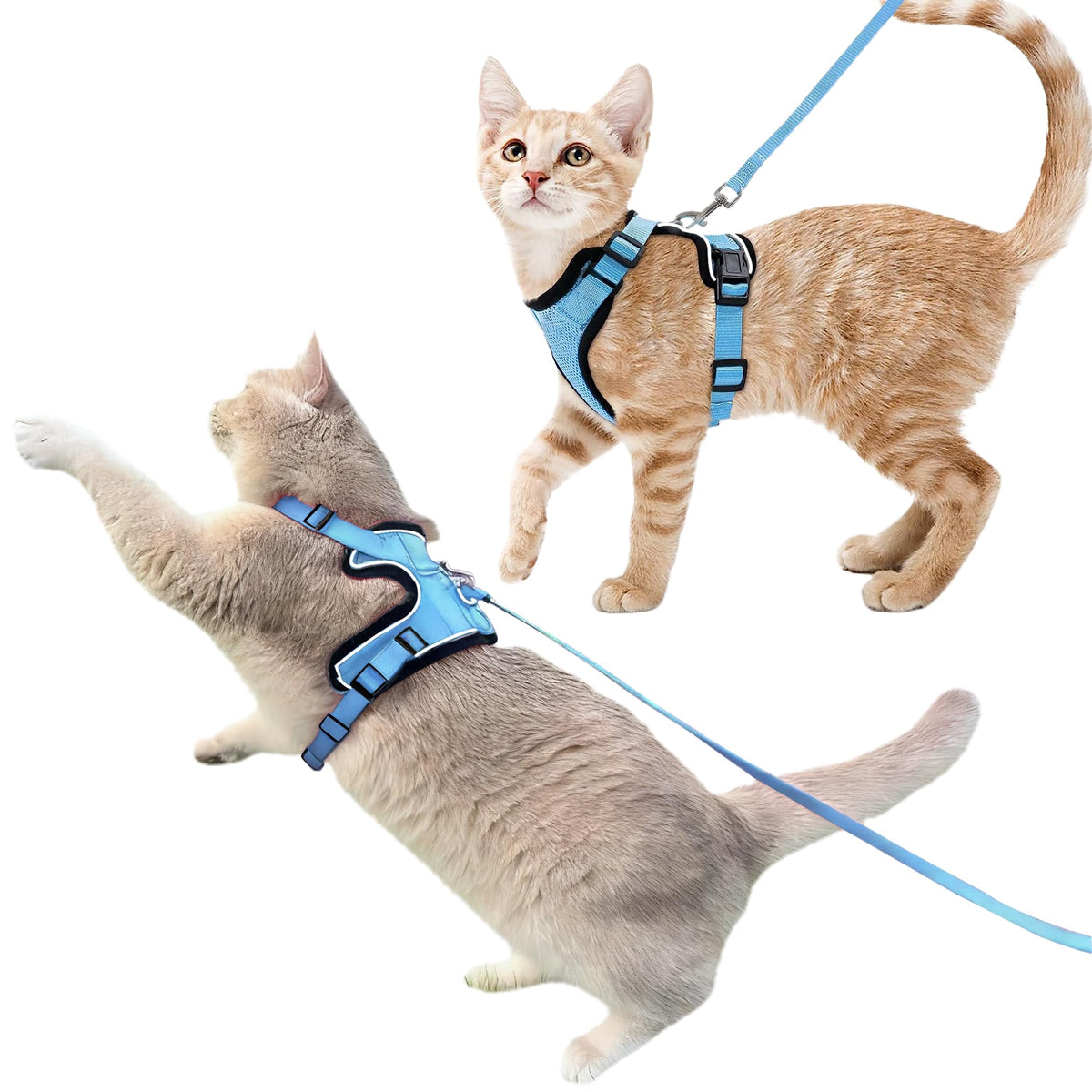 Luxelle escape-proof cat harness overhead design for quick secure wearing during walks.