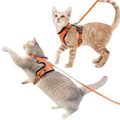 Luxelle escape-proof harness with dual buckles for secure cat walking.