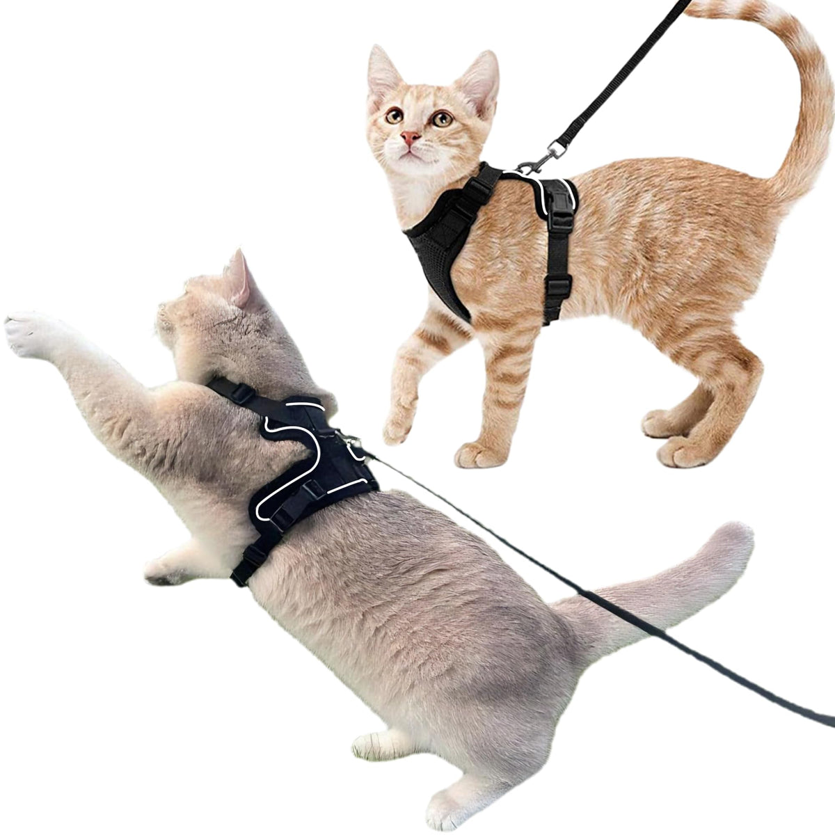 Luxelle escape-proof harness front view with double-buckle security for confident walks.