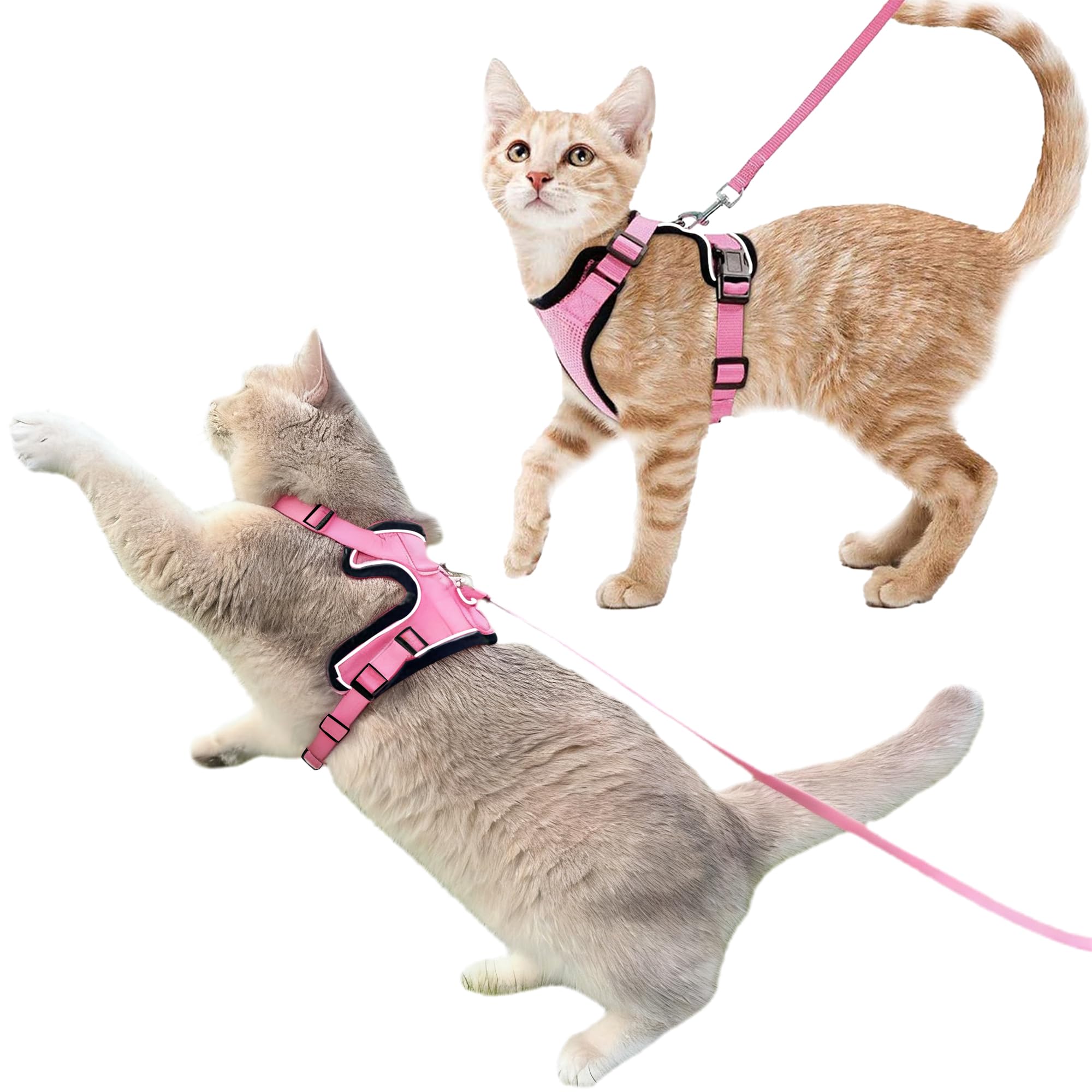 Luxelle escape-proof harness front view for secure, confident daily walks.