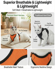 Luxelle reflective strips improve visibility during night walks with cats.