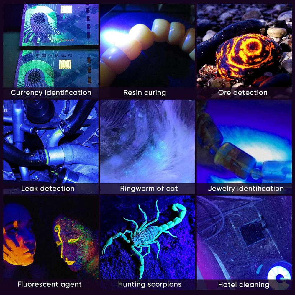 LUXNOVAQ UV flashlight aids night rock hunting by revealing hidden minerals.