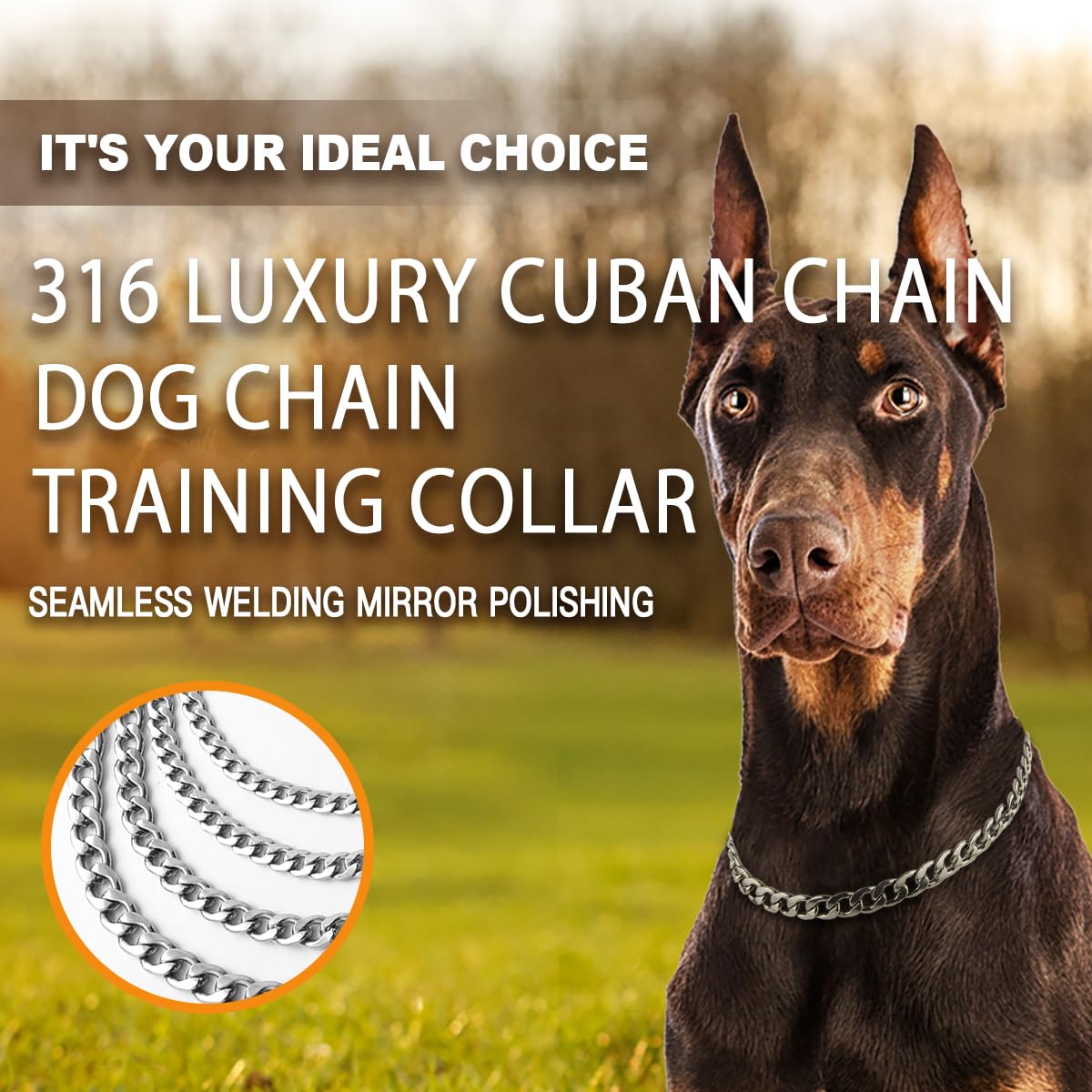 Luxury Flat Chain Training Collar adjustable fit supports comfortable training across sizes