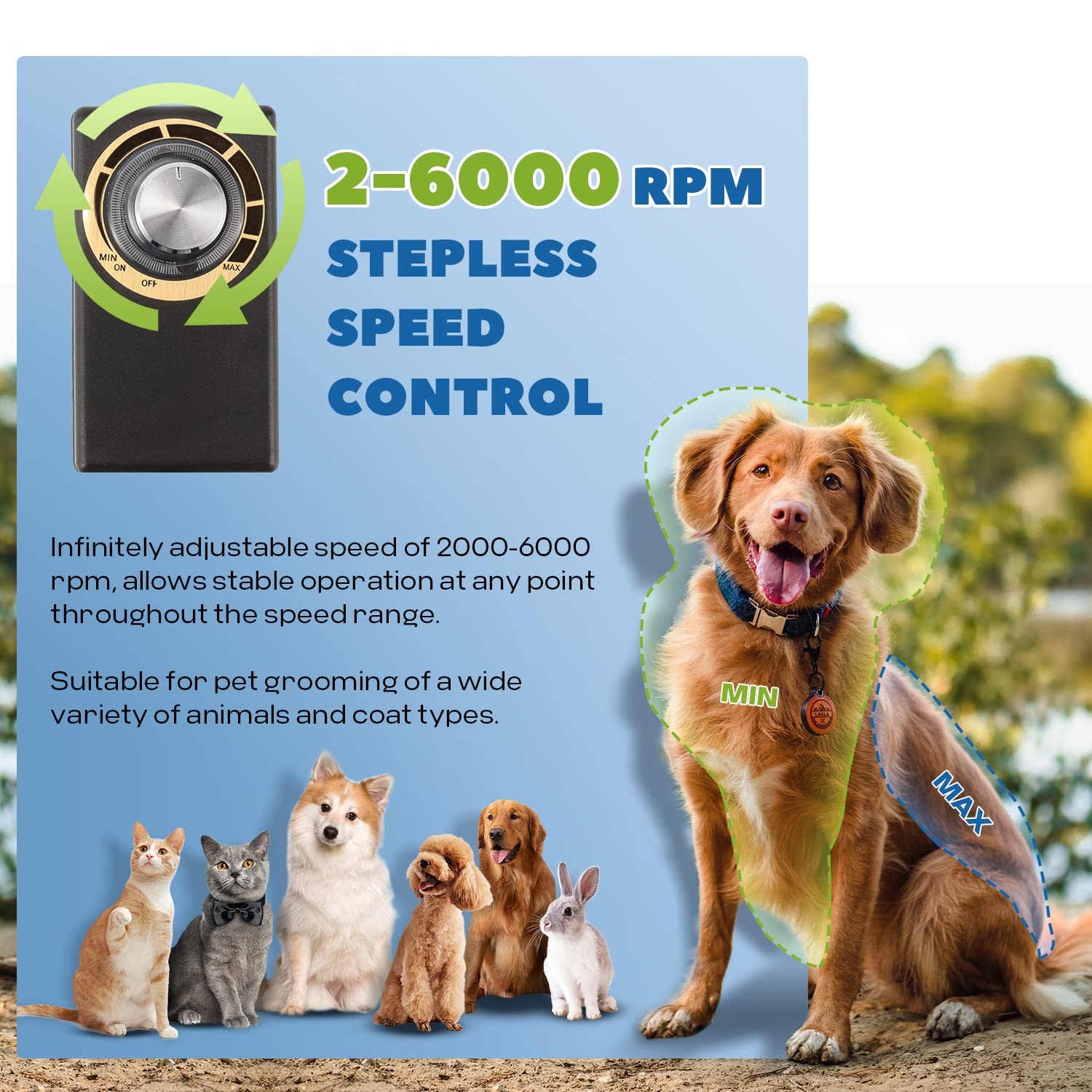 LuzRise Clipper operating quietly under 50dB for calm pets.