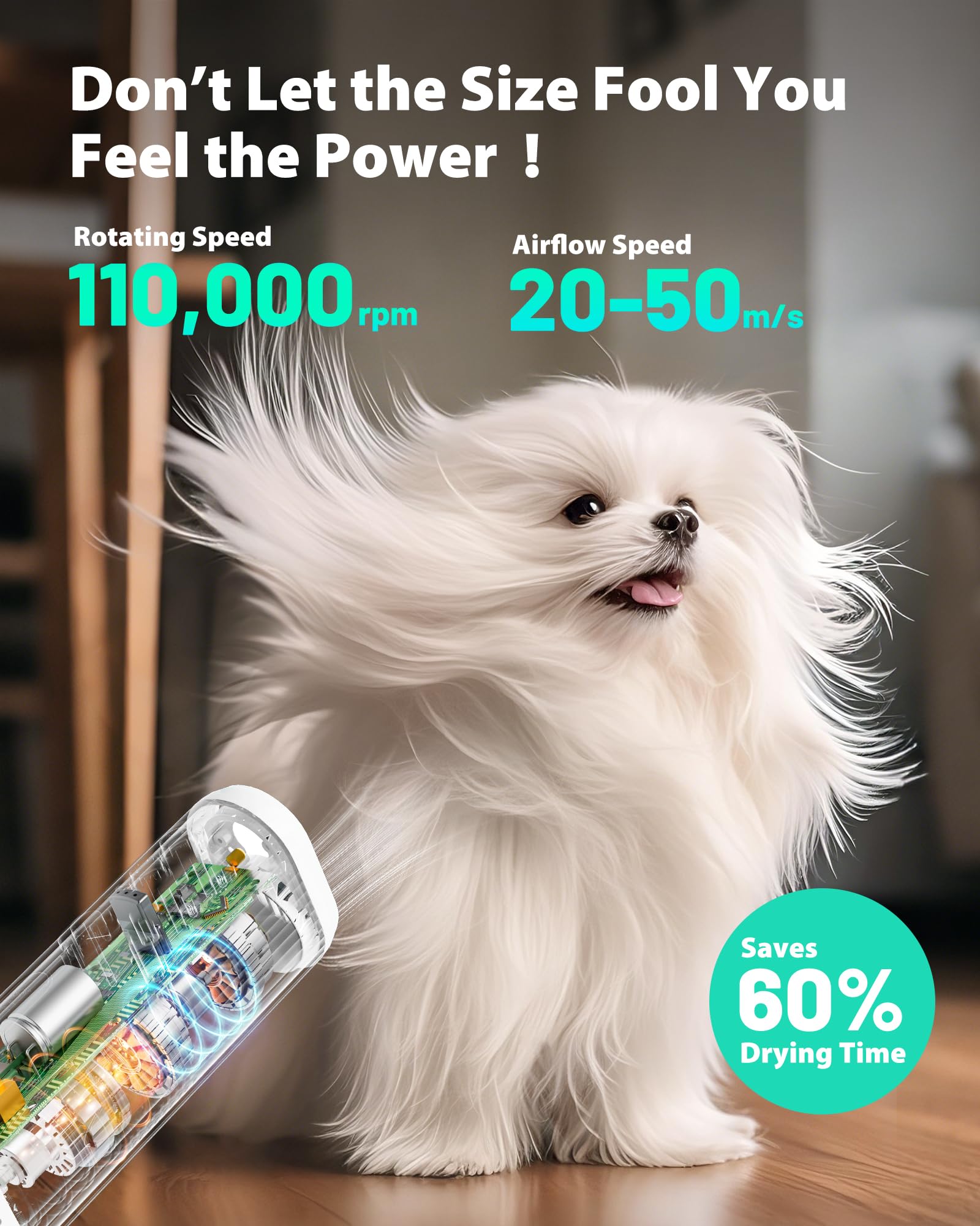 L&W BROS powerful airflow at 50 m/s for quicker grooming sessions