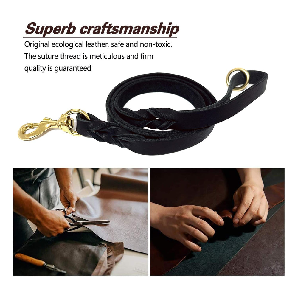 LWBMG dog leash for large dogs and training sessions.