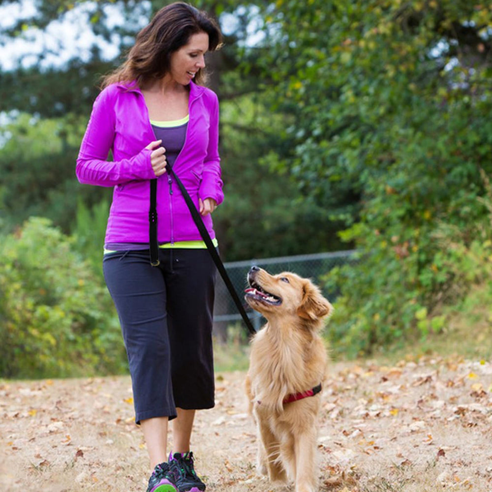 LWBMG large and small dog friendly leash suitable for a wide range of breeds.