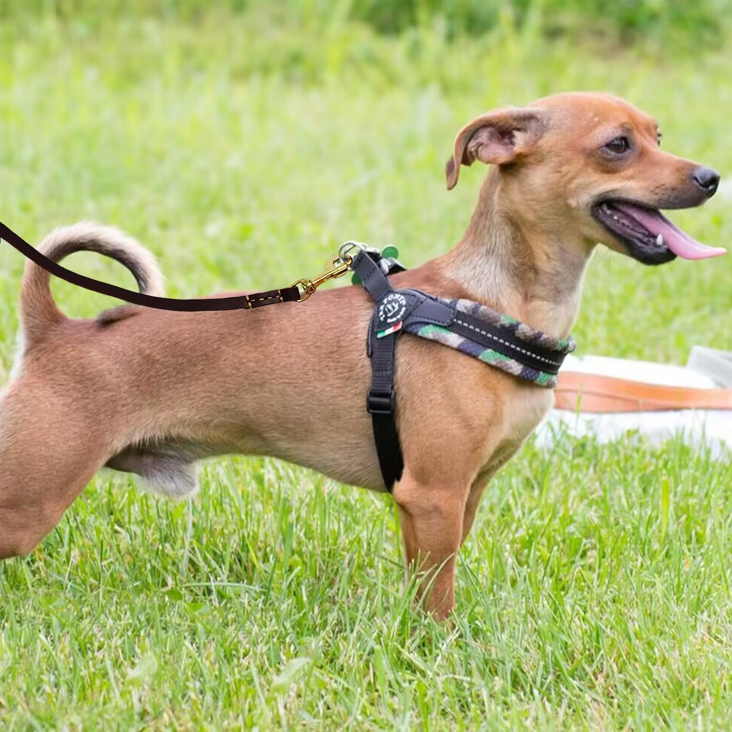 LWBMG Leather Dog Leash small-dog fit emphasizes 1/2 inch width for tiny breeds.