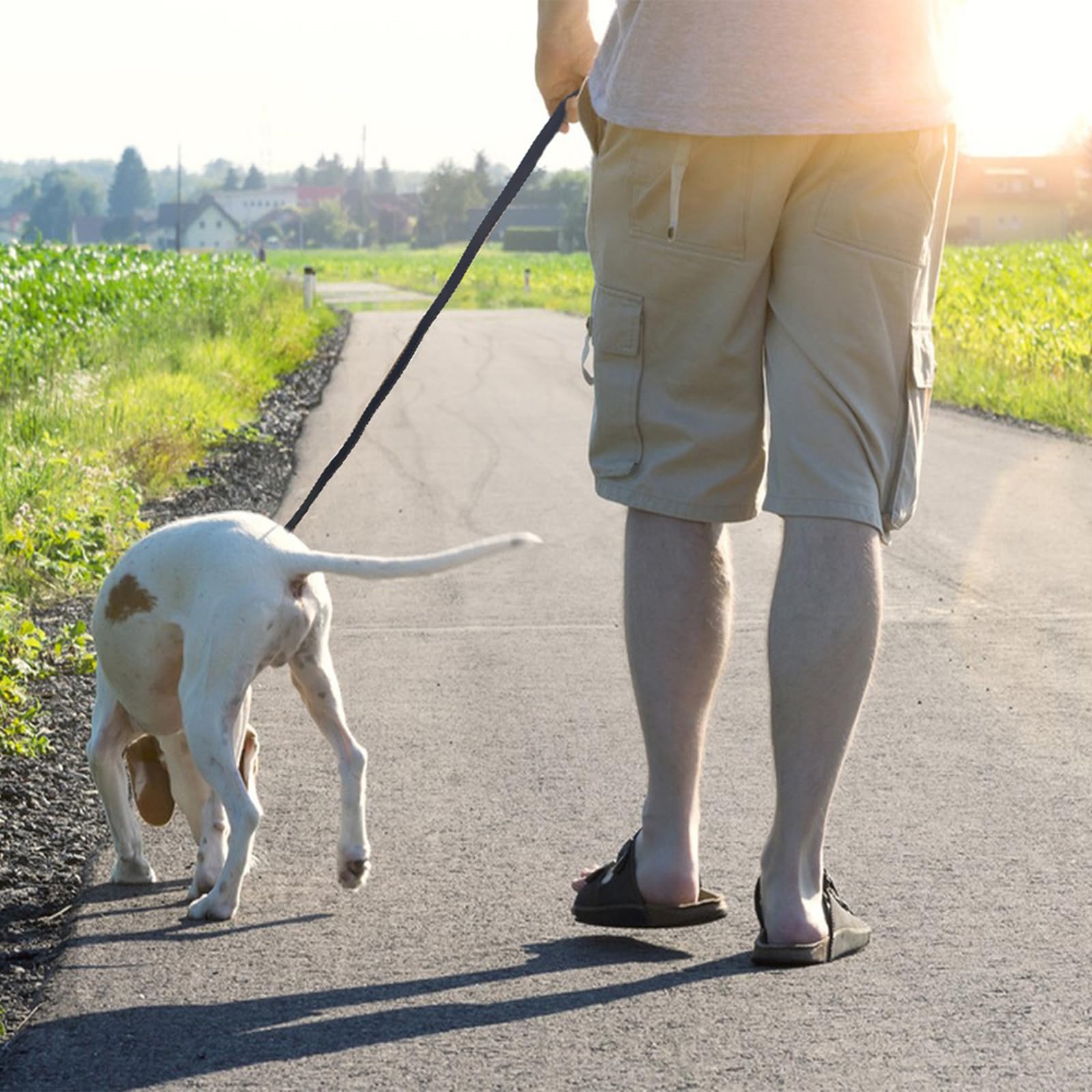 LWBMG 8ft leash with high tensile strength supports confident handling on walks.