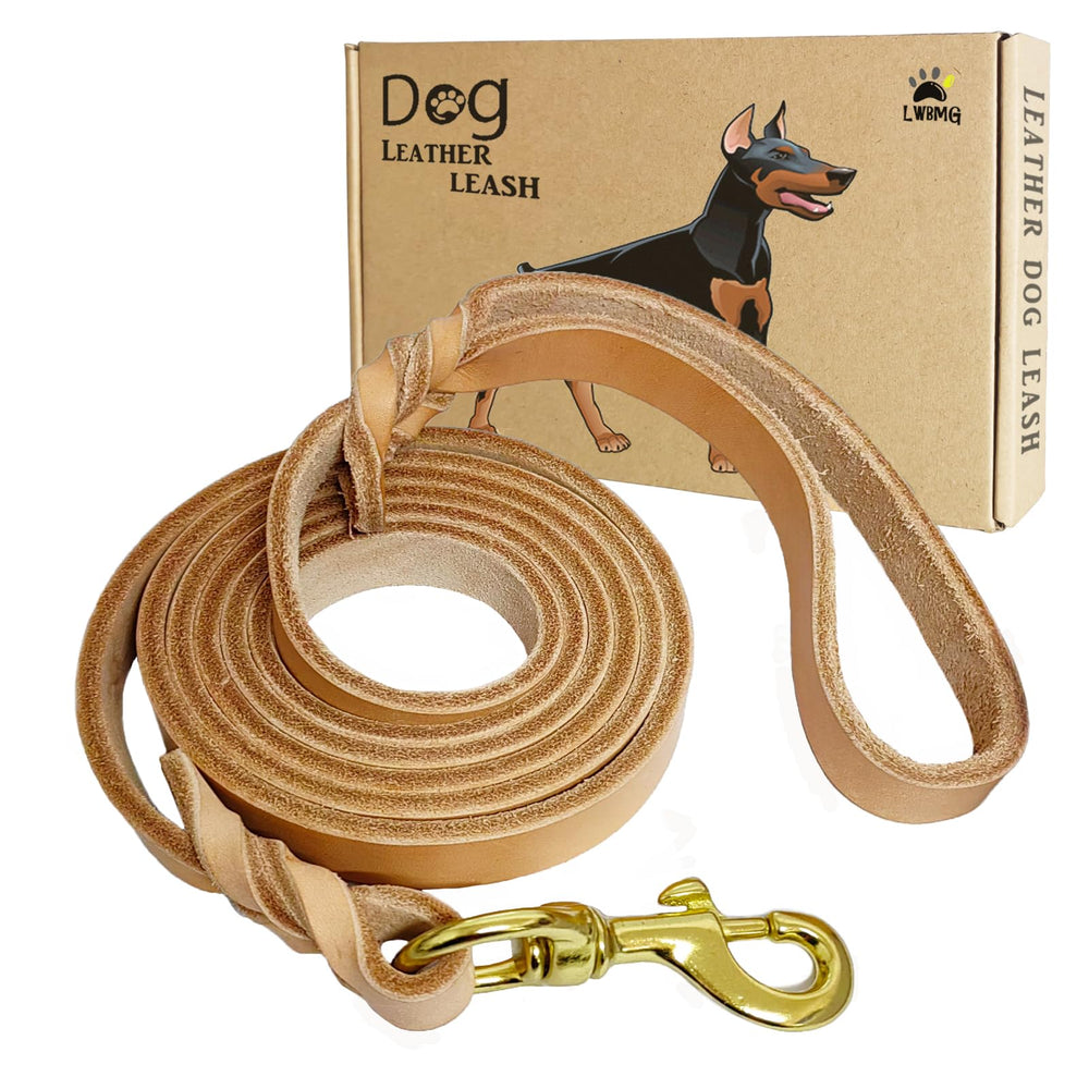 LWBMG leather dog leash braided handle close-up for durable control during walks.