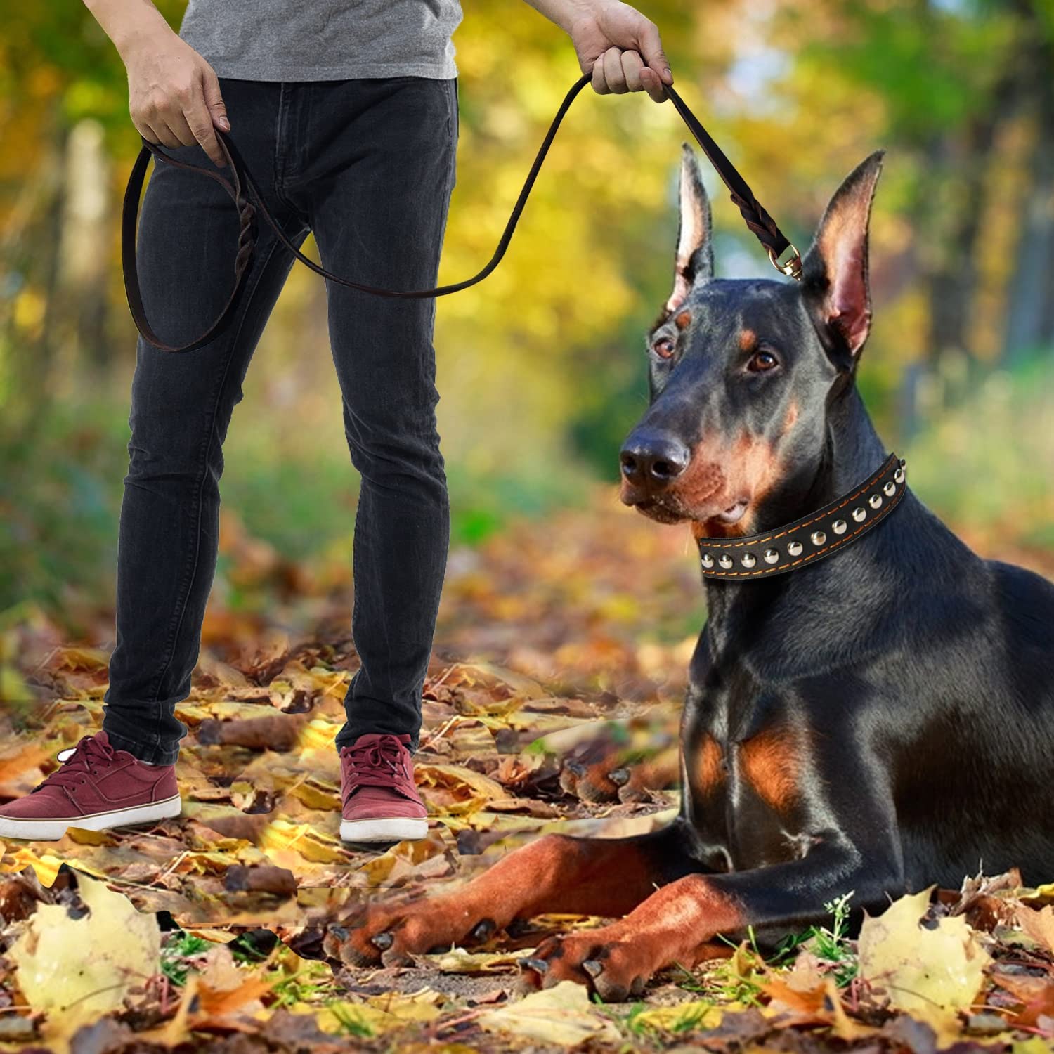 LWBMG leather dog leash designed for daily walking and running in busy areas